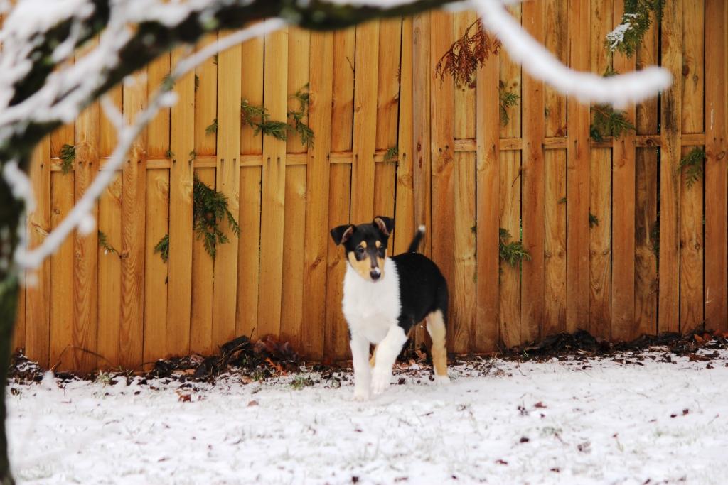 bandit-20170102-b-01