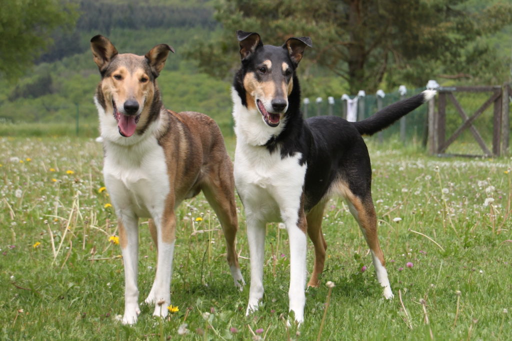 Runi und Phil