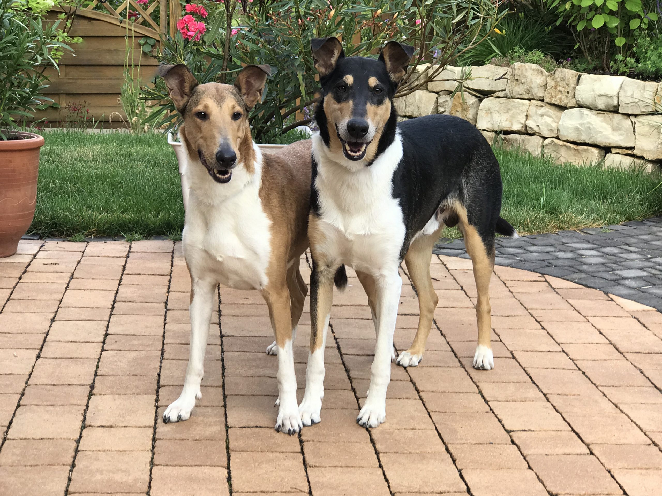 Mama Dorie und Papa Silas