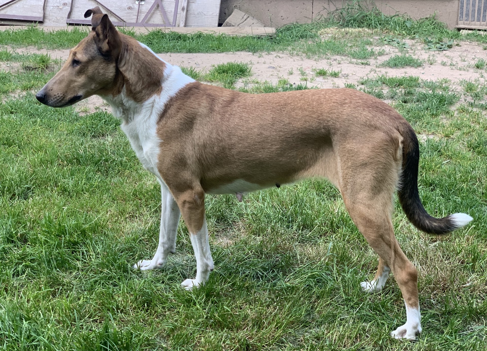 Mama Ella